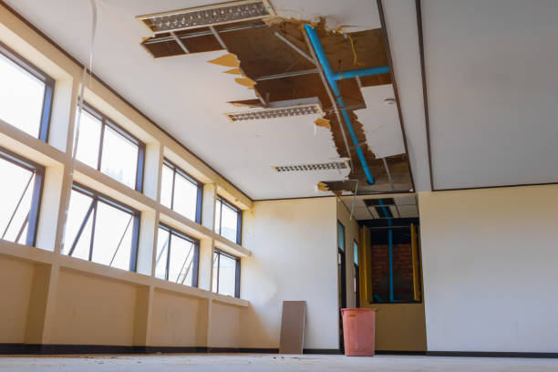 Best Professional water damage repair  in Villisca, IA