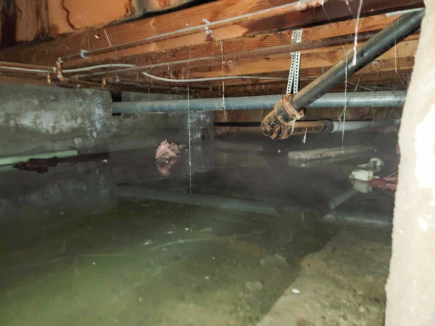 Water damage restoration experts in Villisca, IA