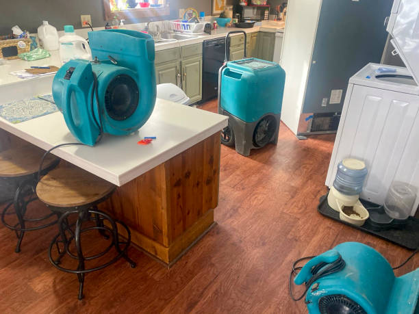 Best Commercial water damage restoration  in Villisca, IA