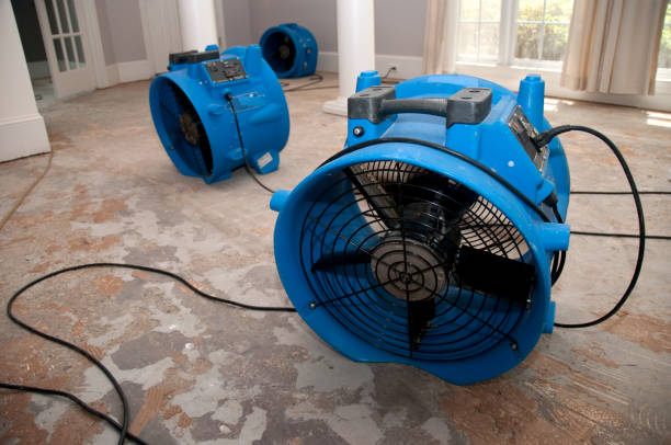 Best Water damage restoration near me  in Villisca, IA
