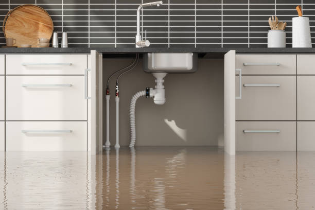 Best Professional water damage repair  in Villisca, IA