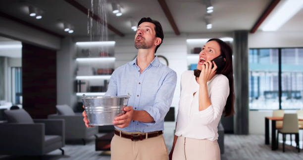 Best Mold removal after water damage  in Villisca, IA